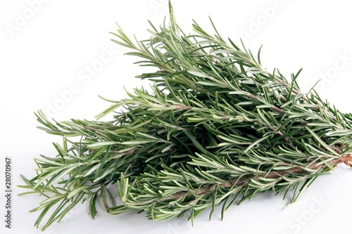 rosemarine herb