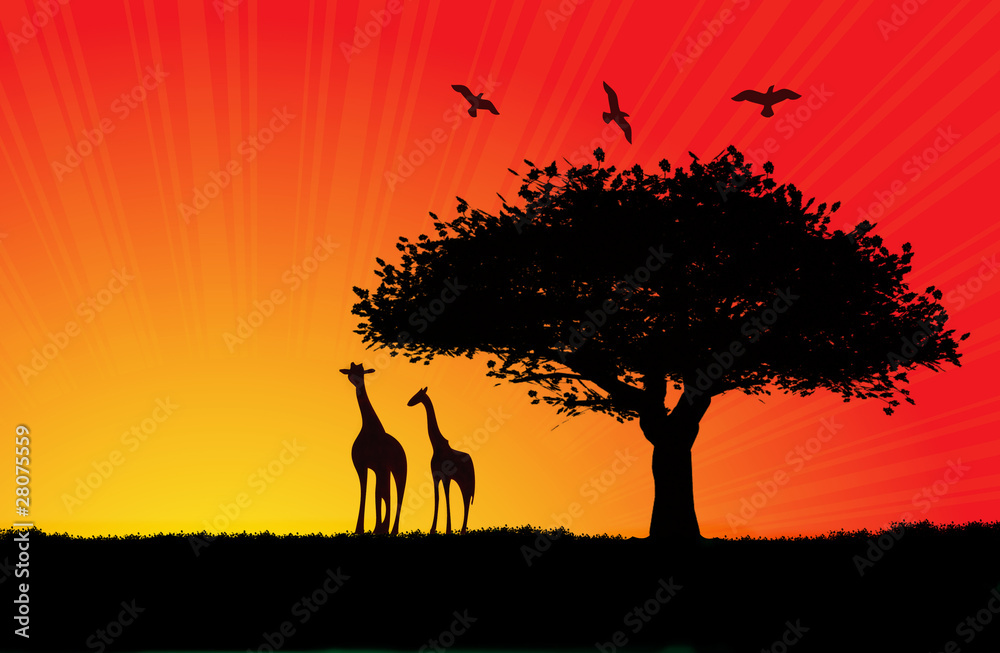 African sunset illustration with two giraffes