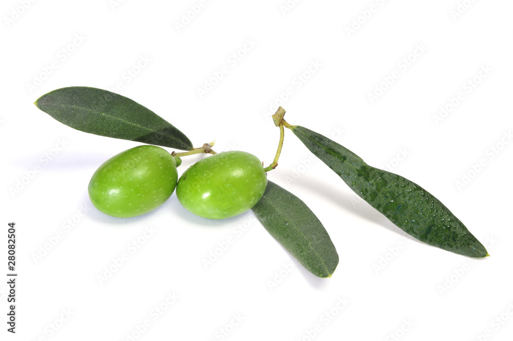 custom made wallpaper toronto digitalolives