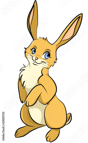 Hase