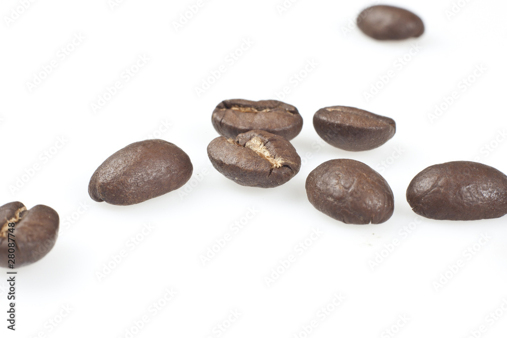 Fototapeta premium Coffee beans isolated