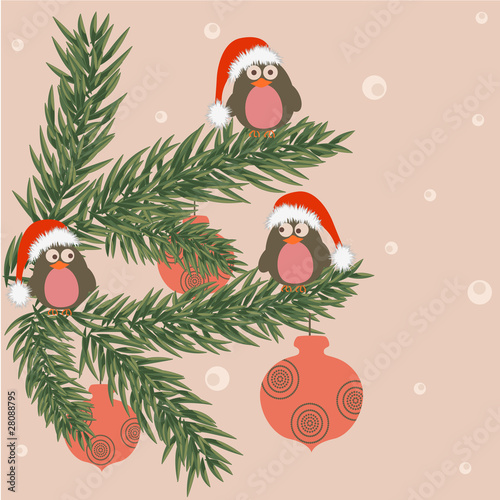 Funky christmas birds