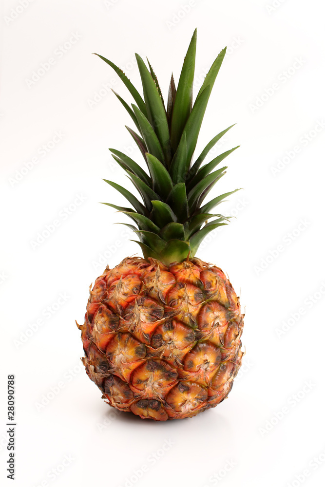 Fototapeta premium Piña