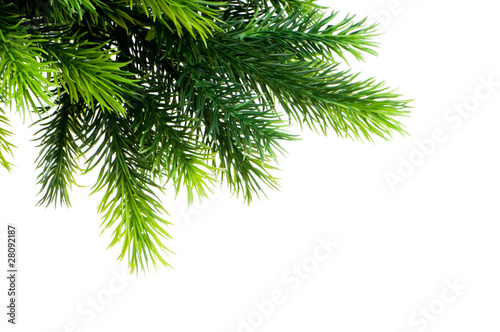 Christmas decoration isolated on the white background