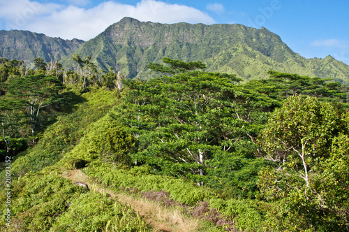 Kuilau Ridge Trail