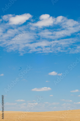 Wheat field and blue sky