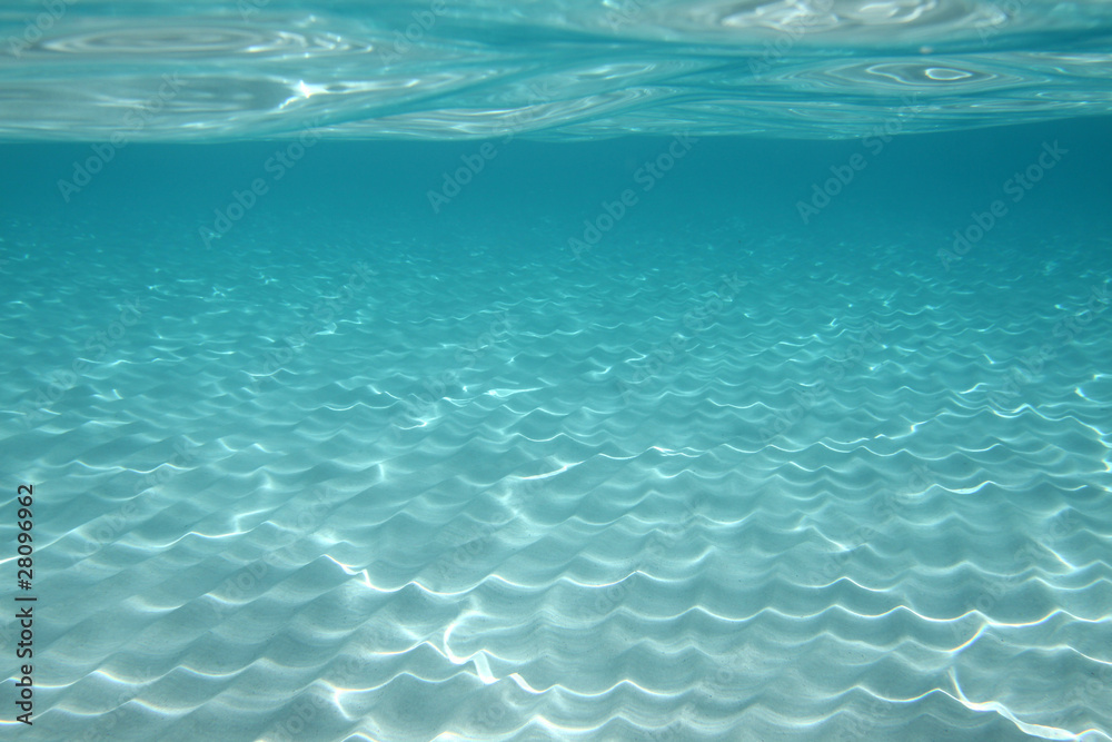 Naklejka premium sous l'eau