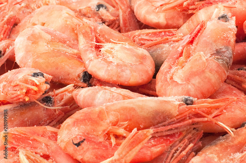 Frozen Shrimp