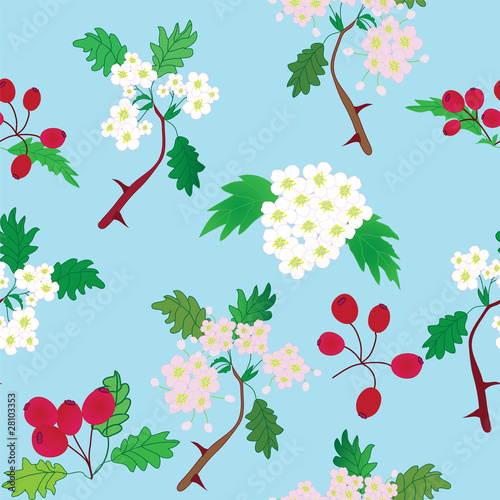 Seamless pattern with officinal hawthorn