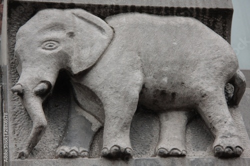 Photography Amsterdam - Elephant