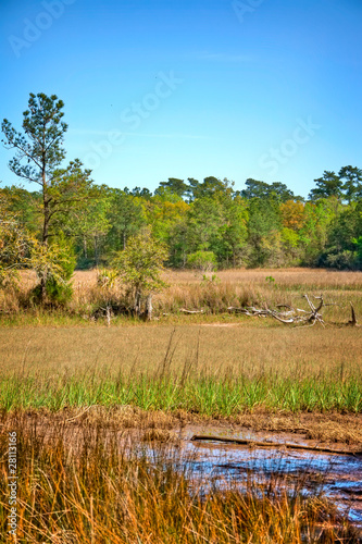 HDR Scene of the Marsh in South Carolina