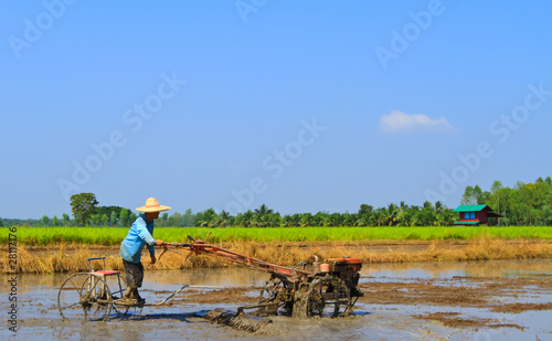 Farmer, Plowing to planting rice