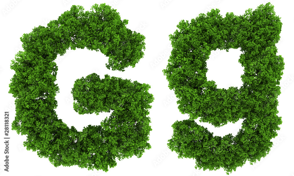 on top view tree forest high detail font on top view tree forest high detail font