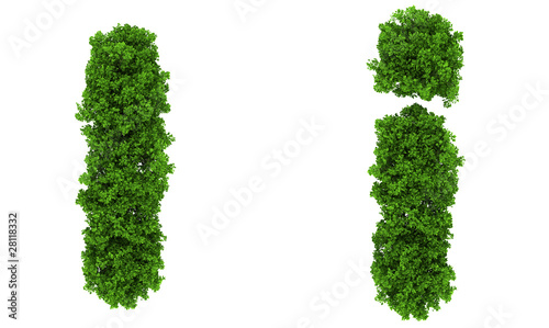 on top view tree forest high detail font