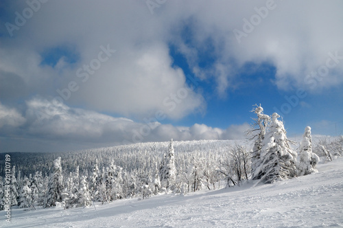 Wallpaper Mural Downhill Torontodigital.ca