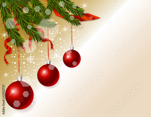 xmas tree branches vector