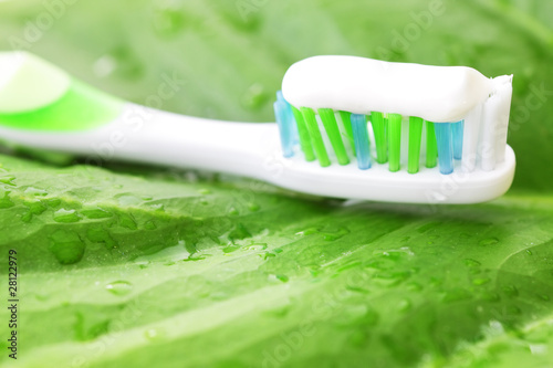 Toothbrush on green leaf