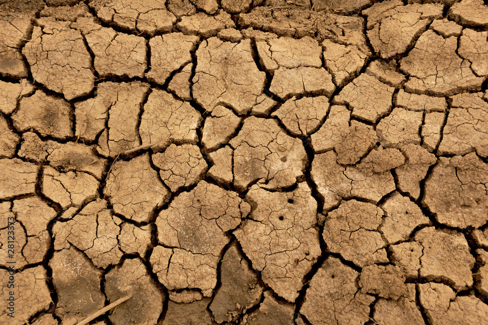 dry ground dry ground