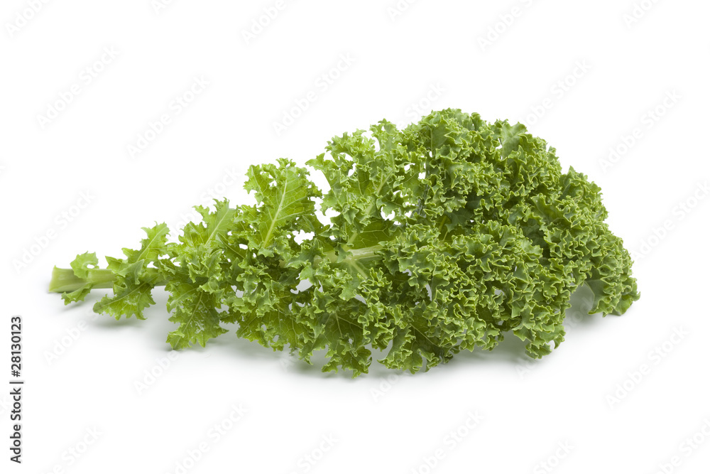 Single fresh green kale leaf at white background Single fresh green kale leaf at white background