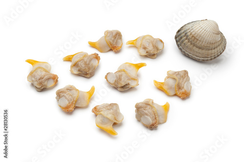 Fresh cooked cockles