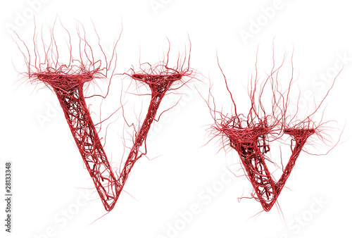 Abstract artery font photo