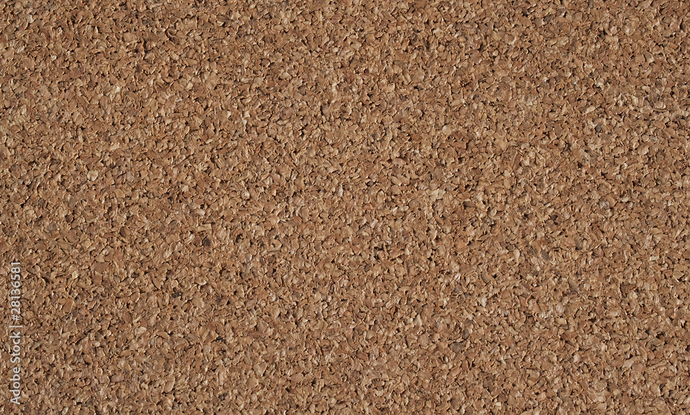 Pattern of pith surface Pattern of pith surface