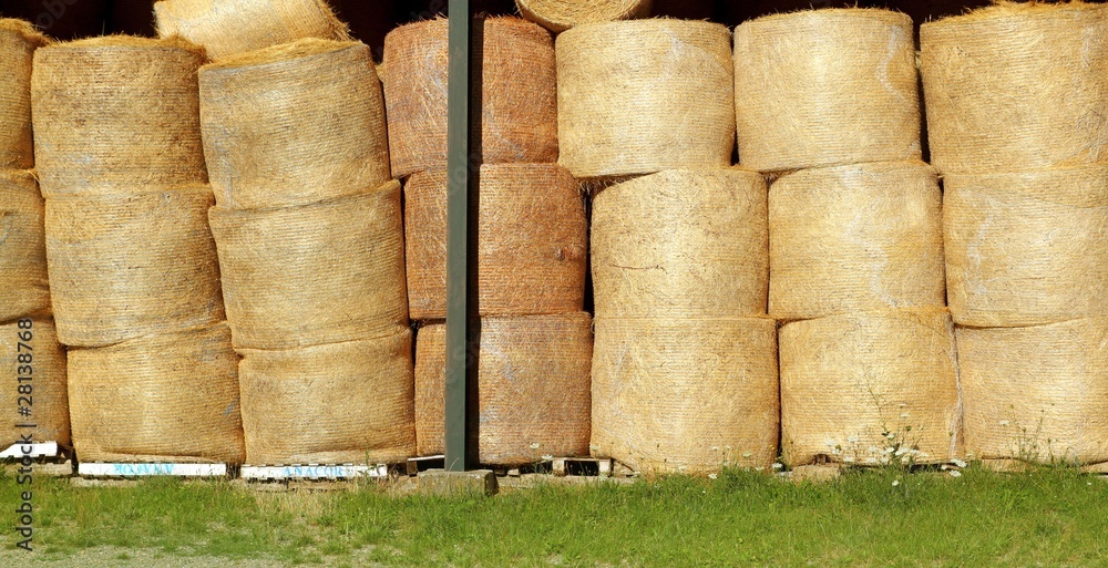 round wheat bales stacked stock rows golden round wheat bales stacked stock rows golden