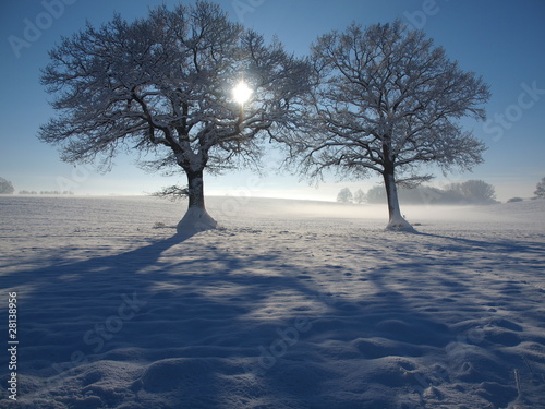 Winter in Ostholstein photo