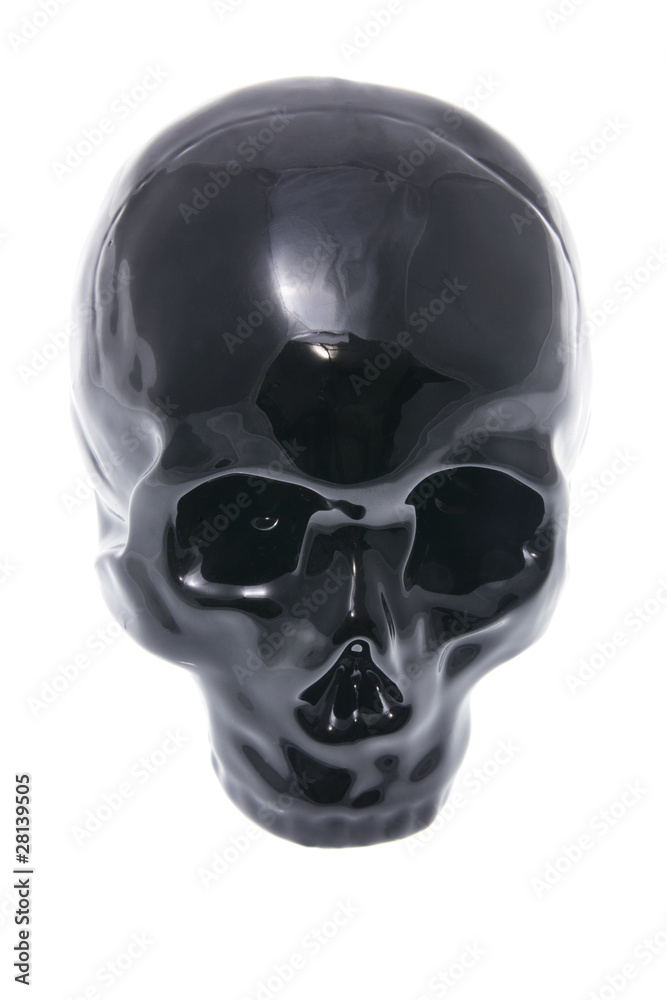 Obraz premium Skull