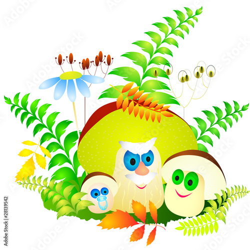 Mushrooms’ family