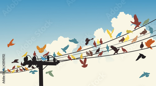 Bird roost