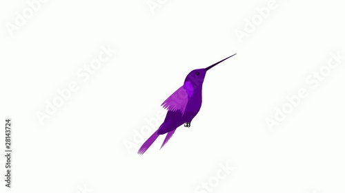 Hummingbird