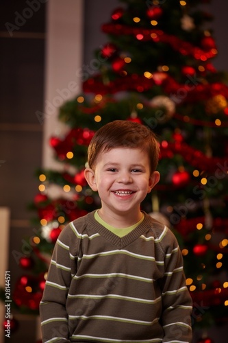 Happy little boy at christmas