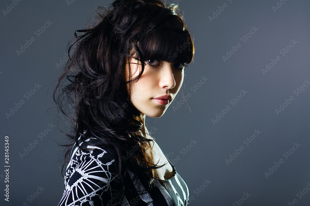 The portrait of a beautiful lady The portrait of a beautiful lady