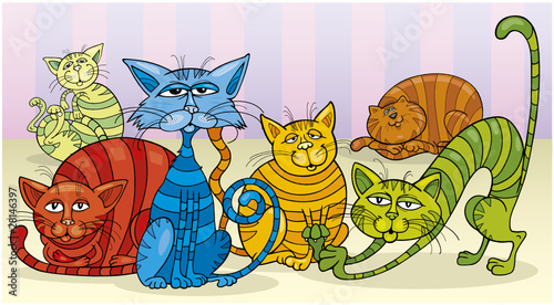 color cats group