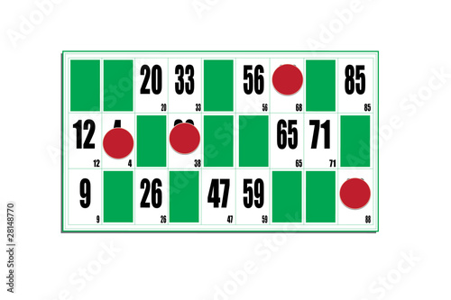 carton loto vert