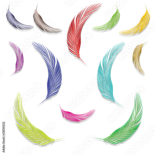feathers in colors