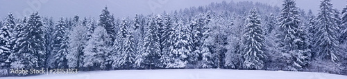 Winter panorama XXL