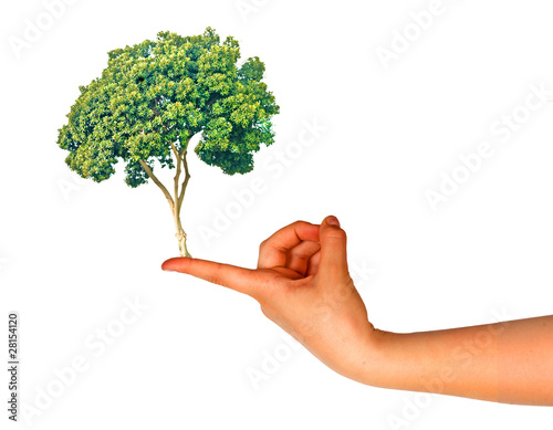 Tree on finger