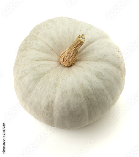 White pumpkin