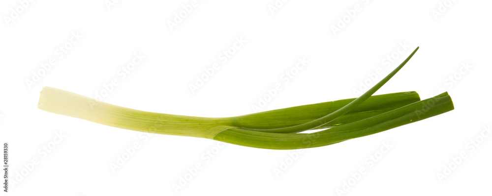 single spring of spring onion isolated on white background single spring of spring onion isolated on white background