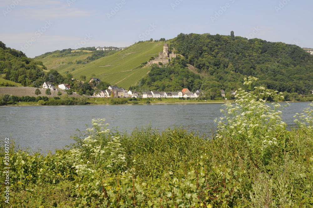 Rhein bei Rheindielbach
