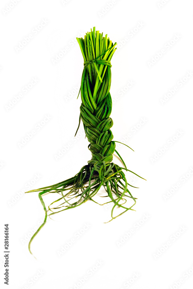 Obraz premium Green chives