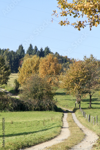 Feldweg zwischen Wiesen