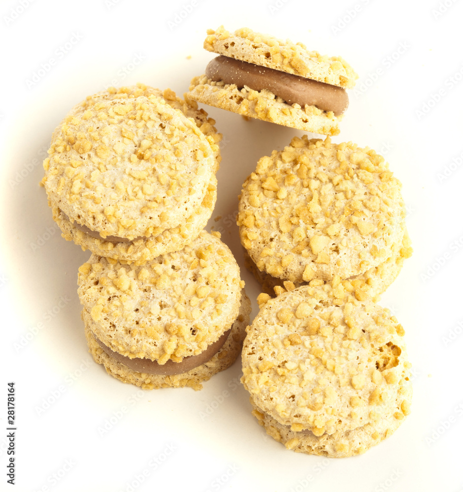 creamy biscuit creamy biscuit