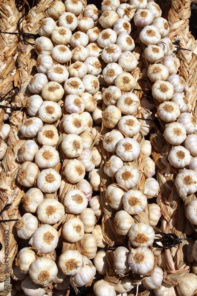 garlic rows food background pattern garlic rows food background pattern