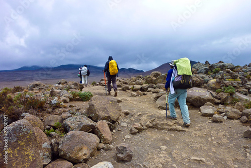 Obraz na plátně people climbing the Mount Kilimanjaro, the highest mountain in A
