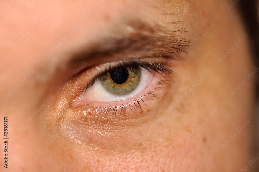 Fototapeta premium oeil