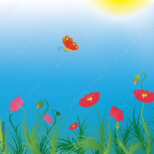 Background with poppies