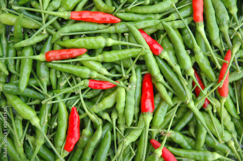 green and red chili green and red chili